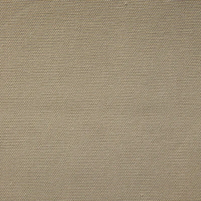 Danton Cotton Oxford Shorts - Beige - Image 2