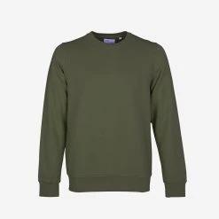 Colorful Standard Classic Organic Crew Sweatshirt - Seaweed Green